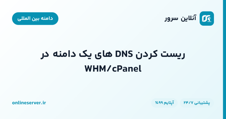 ریست کردن DNS های یک دامنه در WHM/cPanel