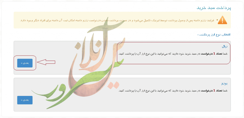 پرداخت در ایرنیک